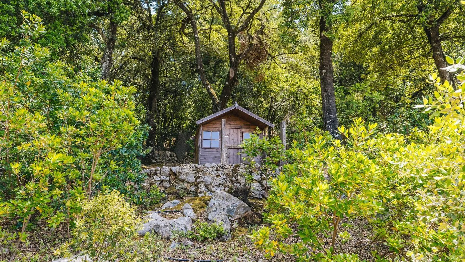 Ca'S Pastor - Chalet De Montana Escorca Spain